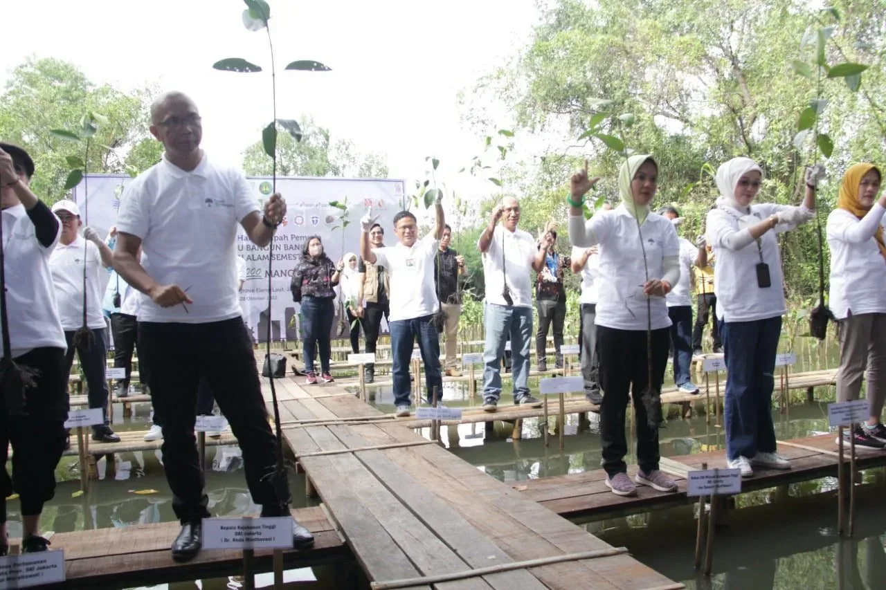 Kejati DKI Tanam Ribuan Pohon Mangrove di Pantai Indah Kapuk I Teras Media