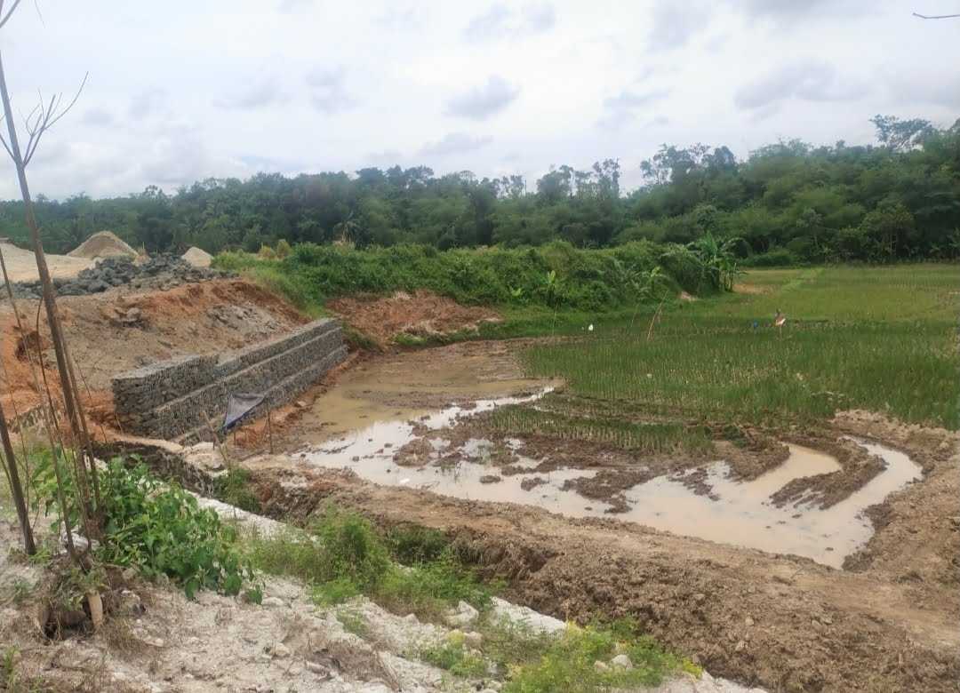 Diduga Cemari Sawah Warga DLH Lebak Diminta Tinjau Ulang Perizinan Perumahan Royal Green Land I Teras Media