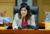 Ketua Komisi I DPR RI Meutya Hafid. Foto: Runi/nr