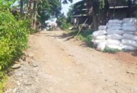 Keterangan foto : jalan poros desa yang menghubungkan tiga desa, yakni Desa Cikareo, Parungkujang dan Desa Kujangsari Kabupaten Lebak Banten, Selasa (10/5/2023)