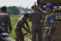 Foto : Satpol PP Kabupaten Tangerang Tertibkan Bangunan Liar yang Berdiri di Badan Jalan raya Kecamatan Sepatan Timur. Rabu (17/5).