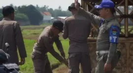 Foto : Satpol PP Kabupaten Tangerang Tertibkan Bangunan Liar yang Berdiri di Badan Jalan raya Kecamatan Sepatan Timur. Rabu (17/5).