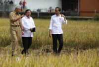 Keterangan Poto: Presiden Jokowi bersama Prabowo Subianto dan Ganjar Pranowo.