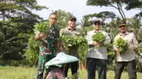 Bupati Zaki Dampingi Wamentan RI Kunjungi 2 Lokasi Agropolitan di Tangerang I Teras Media