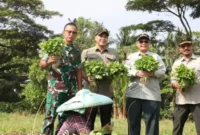 Foto: Bupati Zaki Dampingi Wamentan RI Kunjungi PUSKAGRO dan PT. TUM