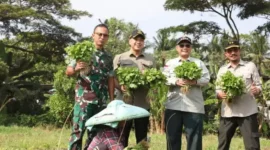 Foto: Bupati Zaki Dampingi Wamentan RI Kunjungi PUSKAGRO dan PT. TUM