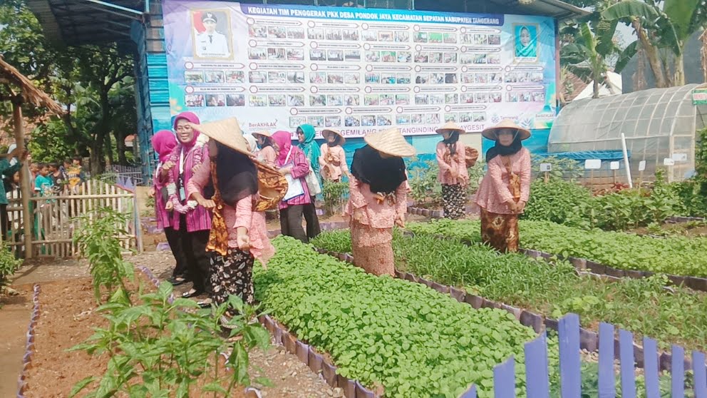 Ketua TP PKK Kabupaten Tangerang Tinjau Program PKK di Desa Pondok Jaya I Teras Media