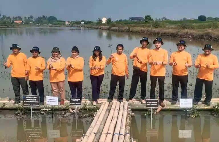 PT. YKK AP Indonesia Terus Berkomitmen Tanam Mangrove di Pesisir Tangerang I Teras Media