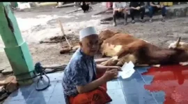 Keterangan foto : Momen Hari Raya Idul Adha Warga Cageundang, Sukamaju, Kecamatan Cianjur, Kabupaten Cianjur, Jawa Barat nampak sumringah, saat mendapatkan hewan qurban sapi dari Calon Anggota DPR RI dari Partai PKB yaitu Camelia Panduwinata, Kamis (29/6/2023).
