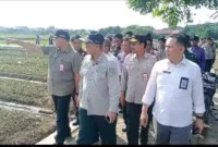 Foto: Wakil Menteri Pertanian Harvick Hasnul Qolbi Kunjungi Kawasan Agropolitan di Sepatan Tangerang. Kamis (8/6).