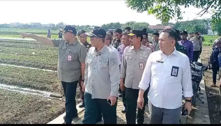 Wakil Menteri Pertanian Harvick Hasnul Qolbi Dukung Kawasan Agropolitan di Tangerang I Teras Media