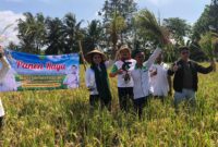 Keterangan foto : Camellia Panduwinata atau yang lebih dikenal dengan Teh Camel ikut serta dalam kegiatan Panen Raya bersama petani di Kampung Paseh Rt 02 RW 05 Desa Sukamaju Cianjur, Minggu (9/7) kemarin.