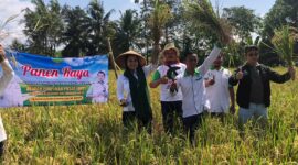 Keterangan foto : Camellia Panduwinata atau yang lebih dikenal dengan Teh Camel ikut serta dalam kegiatan Panen Raya bersama petani di Kampung Paseh Rt 02 RW 05 Desa Sukamaju Cianjur, Minggu (9/7) kemarin.