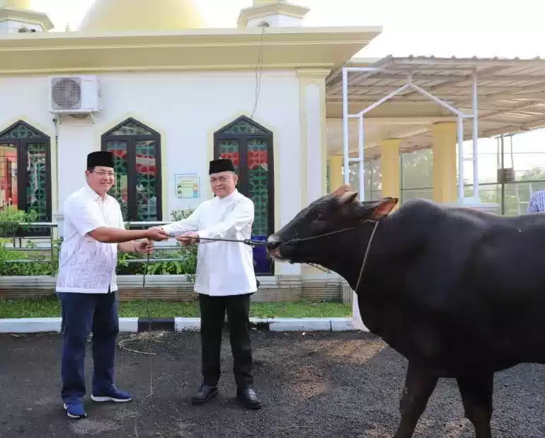 Potong Hewan Qurban, BPN Banten Salurkan Daging Qurban kepada Masyarakat yang Membutuhkan I Teras Media