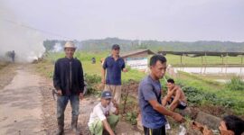 Keterangan foto : Puluhan warga Kanaga, Desa Warunggunung, Kecamatan Warunggunung, Lebak kembali dibuat heboh lantaran mereka berkumpul di jalanan dan sawah-sawah, Minggu (13/8/2023)