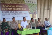 Keterangan foto; panen jagung yang dilaksanakan oleh Korbinmas Polri dengan FKDB di lakukan secara simbolis di Dusun Yawarub, Kampung Asyaman, Distrik Arso, Kab. Keerom, Papua. Kamis(21/09/2023)