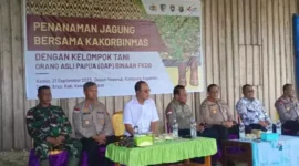 Keterangan foto; panen jagung yang dilaksanakan oleh Korbinmas Polri dengan FKDB di lakukan secara simbolis di Dusun Yawarub, Kampung Asyaman, Distrik Arso, Kab. Keerom, Papua. Kamis(21/09/2023)
