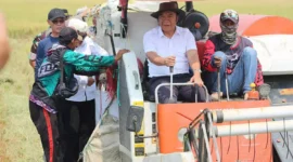 Keterangan foto; Penjabat (Pj) Gubernur Banten Al Muktabar melakukan gerakan panen raya padi Kelompok Tani, Minggu (17/09/2023).