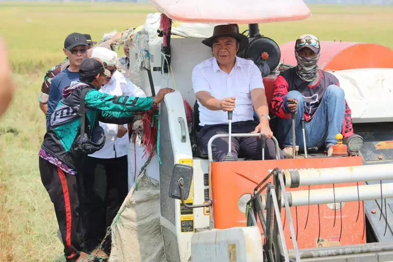 Keterangan foto; Penjabat (Pj) Gubernur Banten Al Muktabar melakukan gerakan panen raya padi Kelompok Tani, Minggu (17/09/2023).
