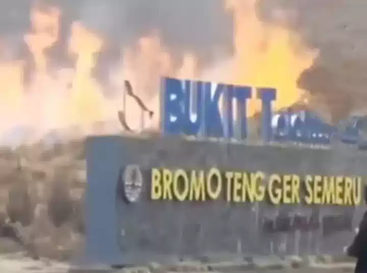 Foto Prewedd Sebabkan Bukit Teletubbies Bromo Kebakaran, Begini Ceritanya I Teras Media