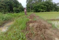 Keterangan foto : Puluhan tahun jalan di Desa Cipinang, Kecamatan Angsana, Kabupaten Pandeglang tidak pernah dibangun. Rabu (07/02/2024)