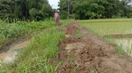 Keterangan foto : Puluhan tahun jalan di Desa Cipinang, Kecamatan Angsana, Kabupaten Pandeglang tidak pernah dibangun. Rabu (07/02/2024)