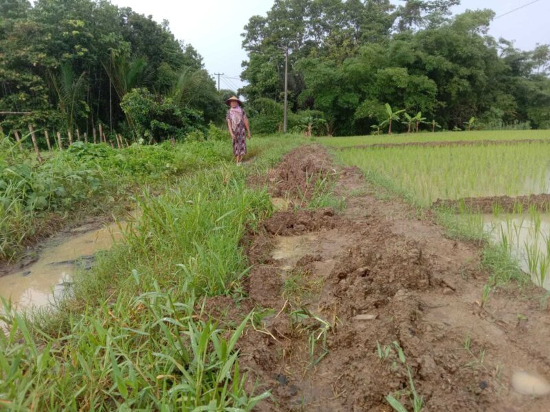 Keterangan foto : Puluhan tahun jalan di Desa Cipinang, Kecamatan Angsana, Kabupaten Pandeglang tidak pernah dibangun. Rabu (07/02/2024)