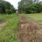 Keterangan foto : Puluhan tahun jalan di Desa Cipinang, Kecamatan Angsana, Kabupaten Pandeglang tidak pernah dibangun. Rabu (07/02/2024)