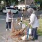 Keterangan Foto : Pegawai Lapas Cirebon Gotong royong bersihkan Halaman Sekitar Lapas, (Jum'at, 10/5/2024) 