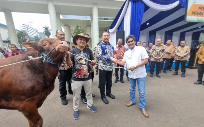 Kejagung Salurkan 36 Ekor Sapi Hewan qurban, Seekor Diantaranya untuk Forwaka