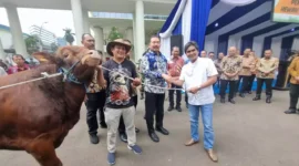 Jaksa Agung Burhanuddin menyerahkan sapi hewan qurban kepada Ketua Forwaka Zamzam Siregar (kemeja putih)