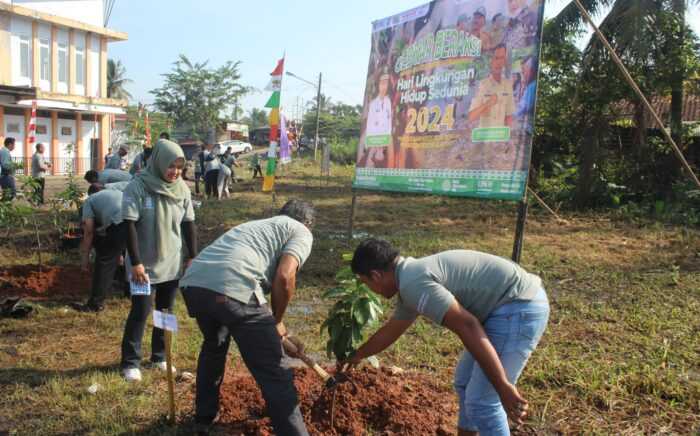 Sambut Hari Lingkungan Hidup Sedunia : Kadis LH Lebak Bagikan Ratusan Pohon ke 28 Kecamatan