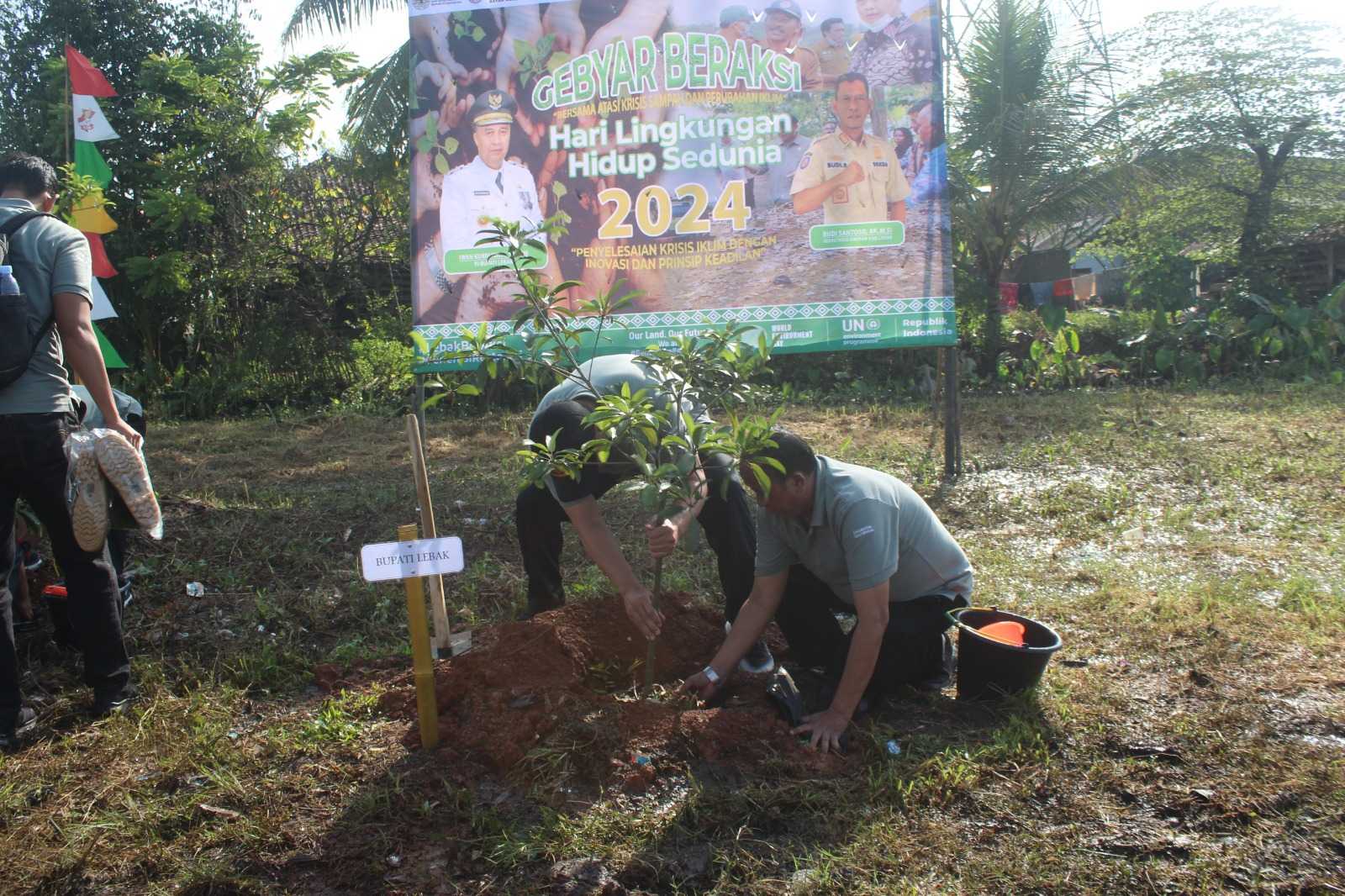 Sambut Hari Lingkungan Hidup Sedunia : Kadis LH Lebak Bagikan Ratusan Pohon ke 28 Kecamatan I Teras Media