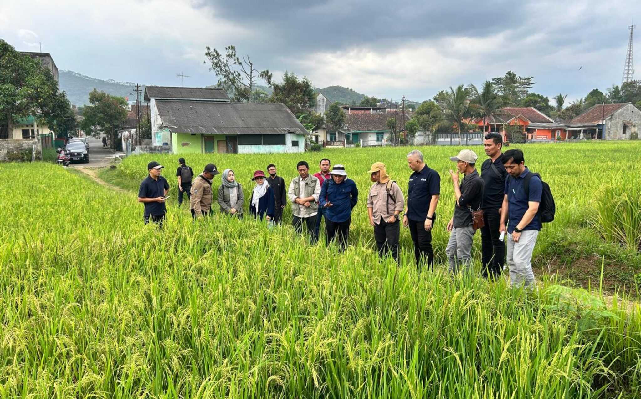 Doa Bangsa Launching Benih Padi DBA Unggul I Teras Media