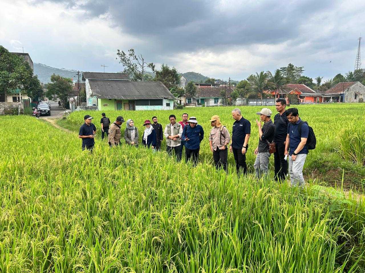 Doa Bangsa Launching Benih Padi DBA Unggul I Teras Media