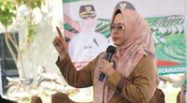 Keterangan foto : Asisten Daerah (Asda) bagian Ekonomi Pembangunan (Ekbang) Setda Pandeglang, Nuriah, Selasa (29/10/2024) 
