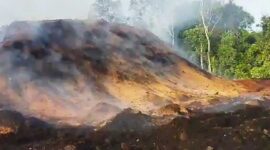 Keterangan foto : Kerusakan lingkungan, Minggu (14/12/2024) 