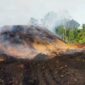 Keterangan foto : Kerusakan lingkungan, Minggu (14/12/2024) 