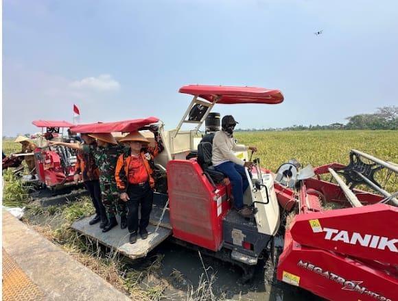 Keterangan foto: MPW Pemuda Pancasila Provinsi Banten Panen Raya Padi Bersama TNI dan Pemkot Serang, Senin (1/9/2025).