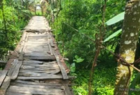 Keterangan foto: Kondisi Jembatan Gantung di Desa Sukajadi, Kecamatan Panggarangan, Kabupaten Lebak.