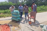 Keterangan foto : Bulog Lebak dan Pandeglang serap gabah petani, Minggu (25/1/2026)
