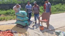 Keterangan foto : Bulog Lebak dan Pandeglang serap gabah petani, Minggu (25/1/2026)