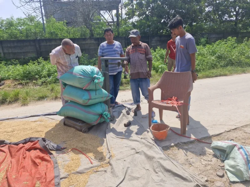 Keterangan foto : Bulog Lebak dan Pandeglang serap gabah petani, Minggu (25/1/2026)