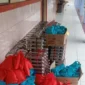 Foto (red)