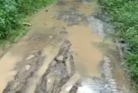 Foto: Kondisi Jalan di Kampung Wakap, Desa Curug Panjang, Kecamatan Cikulur, Kabupaten Lebak