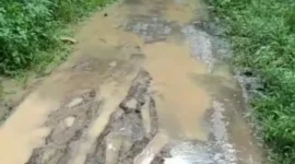 Foto: Kondisi Jalan di Kampung Wakap, Desa Curug Panjang, Kecamatan Cikulur, Kabupaten Lebak