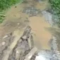 Foto: Kondisi Jalan di Kampung Wakap, Desa Curug Panjang, Kecamatan Cikulur, Kabupaten Lebak