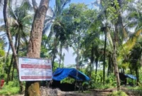 Salahsatu Lokasi Tambang Batubara yang ada di Kawasan Perhutani, Kecamatan Cihara, Kabupaten Lebak (Foto-red)