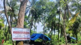 Salahsatu Lokasi Tambang Batubara yang ada di Kawasan Perhutani, Kecamatan Cihara, Kabupaten Lebak (Foto-red)