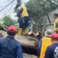 Keterangan foto: Petugas BPBD Kabupaten Tangerang mengevakuasi pohon tumbang yang menutup Jalan Raya Dadap–Kosambi, Sabtu (7/2/2026)./ardi